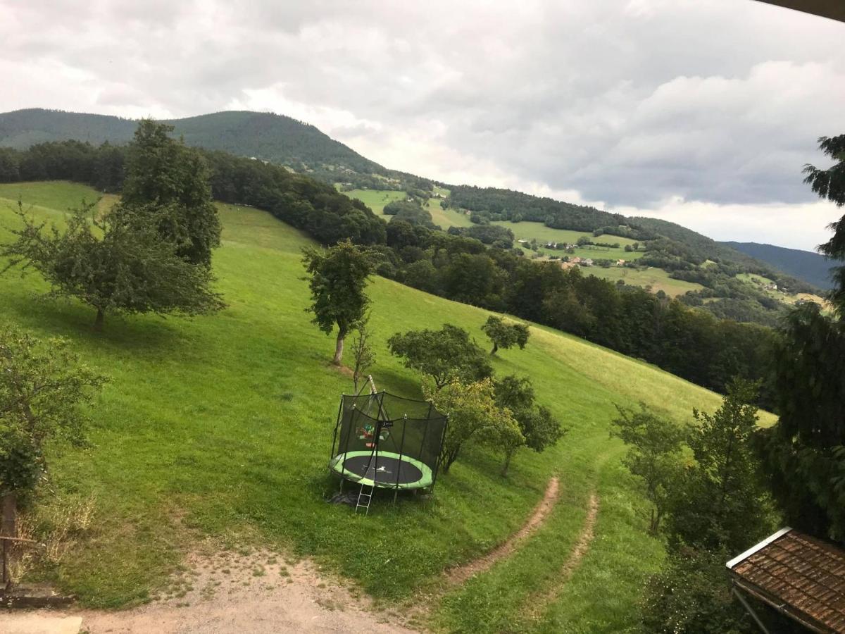 Hebergement Du Chene Fréland Exteriör bild