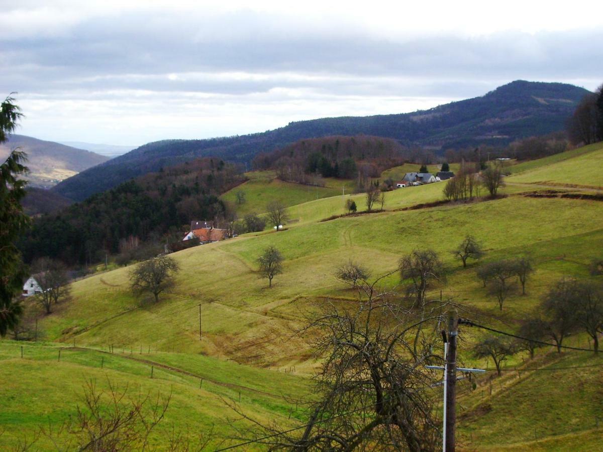 Hebergement Du Chene Fréland Exteriör bild